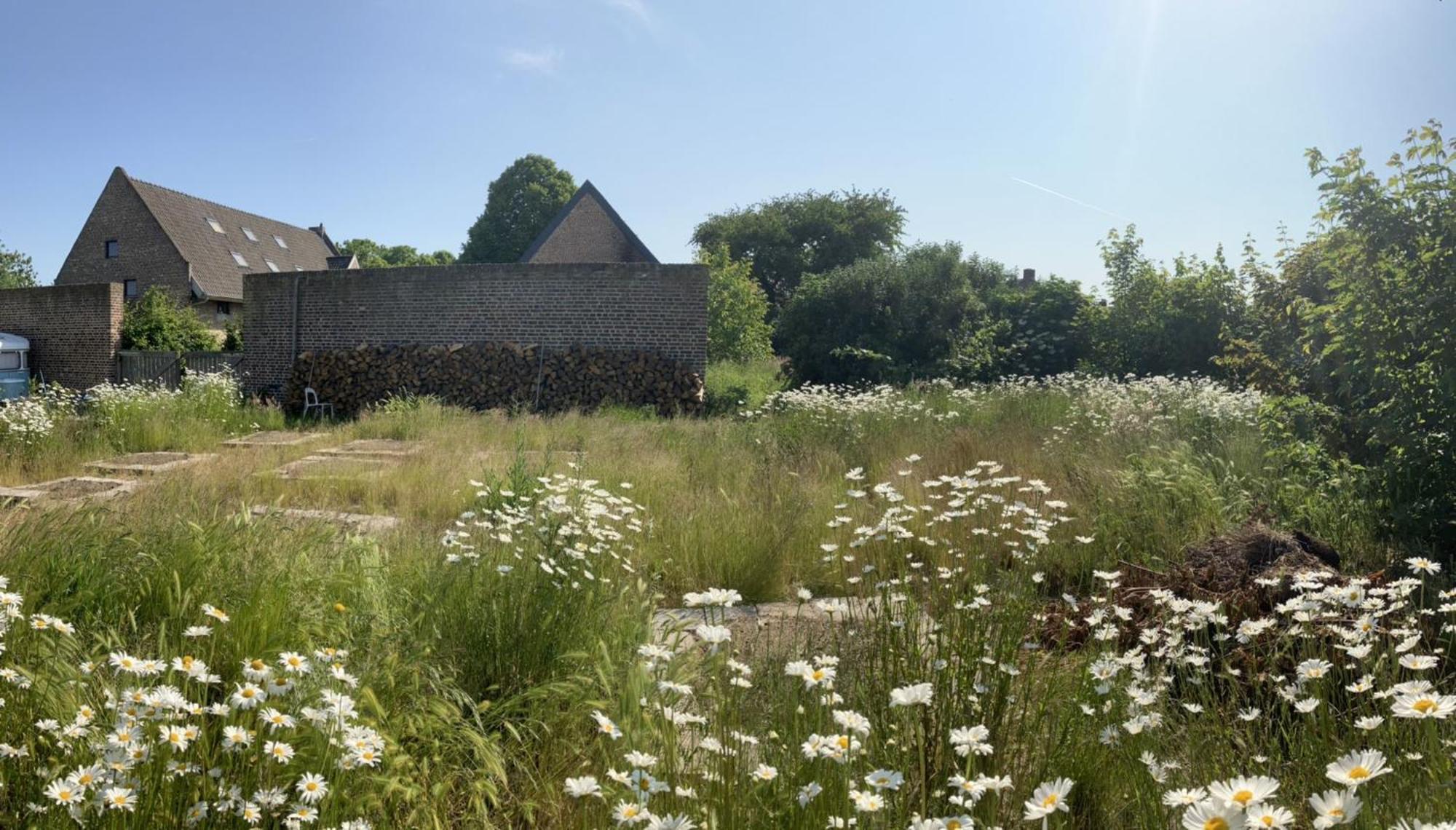 Tanti Baci! Bed & Breakfast Maastricht Bagian luar foto